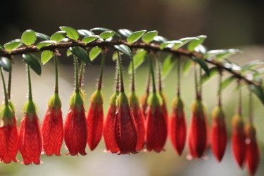 中山东区3私人快速借钱网，轻松解决资金难题