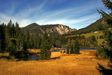 中山东区3民间私贷攻略：揭秘低成本借贷的秘密