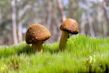 中山东区3私人老板放款：轻松融资的秘密通道